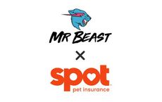 spot pet insurance provider and youtuber